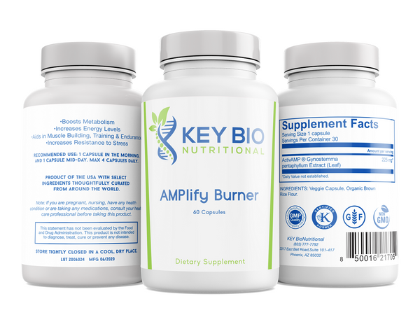 AMPlify Burner - Key Bio Nutritional